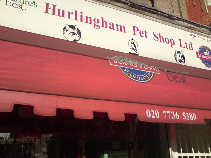 HURLINGHAM PET SHOP Updated May 2024 66 New Kings Road, London