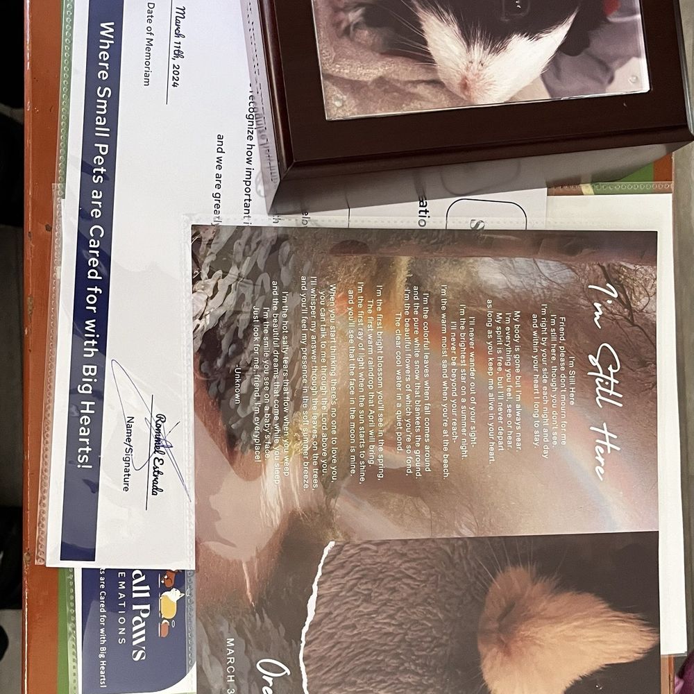 Small Paws Cremations - Package 2 - Pet Cremation Services Near Me - Los Angeles, California Small Paws Cremations - Package 2 - Pet Cremation Services Near Me - Los Angeles, California