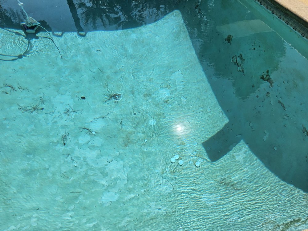 LIFEGUARD POOL SERVICE Updated August 2024 11 Reviews 2025 E Tulare Ave, Tulare