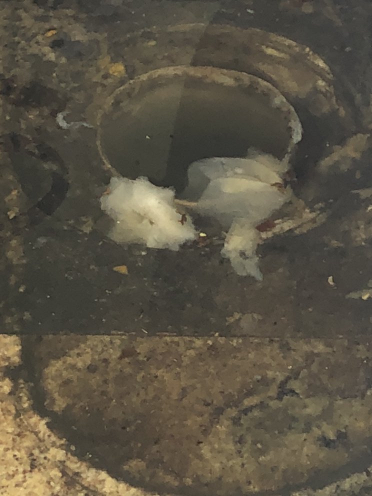 Slide of Cardinal Sewer And Drain