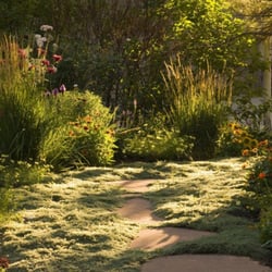 Pioneer Landscape Centers | SiteOne Stone Center