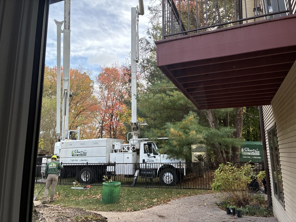 Pine Hill Tree Service - tree service in Mahwah, NJ