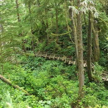 Schooner Cove Trail - long boardwalk through rainforest - Parks Near Me - Tofino, British Columbia Schooner Cove Trail - long boardwalk through rainforest - Parks Near Me - Tofino, British Columbia