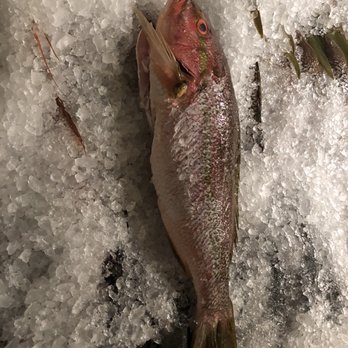 Sea Salt - Seafood Near Me - Naples, Florida Sea Salt - Seafood Near Me - Naples, Florida