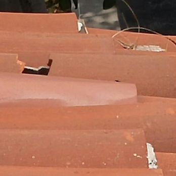 Morales Exterminating - sample of break - Pest Control Near Me - Rosemead, California Morales Exterminating - sample of break - Pest Control Near Me - Rosemead, California