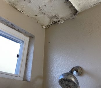 Four Seasons Apartment Homes - Black Mold plague - Apartments Near Me - Paramount, California Four Seasons Apartment Homes - Black Mold plague - Apartments Near Me - Paramount, California
