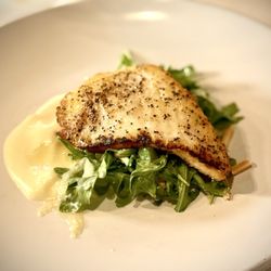 Kennedy's Steakhouse - Seared Alaskan Halibut blood orange, parsnip puree, arugula, fennel, slivered almonds, orange gastrique