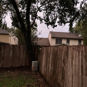 M's Pure Landscaping - After service. Limb removed and branches cleared. - Landscaping Near Me