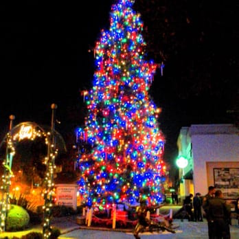 Paramount City Hall - Beautiful tree lit up again 12-2-15 - Public Services & Government Near Me - Paramount, California Paramount City Hall - Beautiful tree lit up again 12-2-15 - Public Services & Government Near Me - Paramount, California