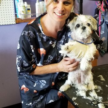 Two Paws Up - Cherisse did an AWESOME job grooming my 14 year old Shih Tzu, Fionna Apple for the first time!! - Pet Groomers Near Me - Addison, Illinois
