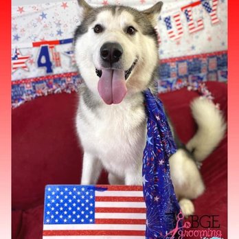 BGE Grooming - Pet Groomers Near Me - Oviedo, Florida BGE Grooming - Pet Groomers Near Me - Oviedo, Florida