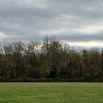 Freedom Barks Dog Park - Freedom Barks Dog Park "Fall Colors" - Dog Parks Near Me - Medford, New Jersey