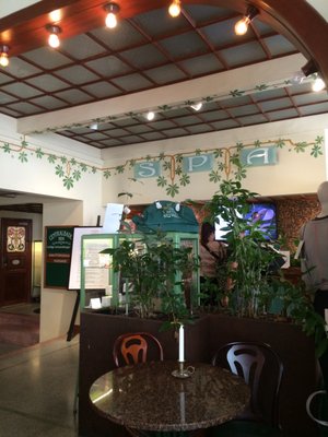 Centralbadet by null