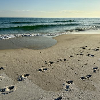 Fort Pickens Beach - Great beach - Beaches Near Me - Pensacola Beach, Florida