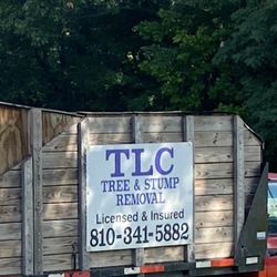 TLC Tree & Stump Removal