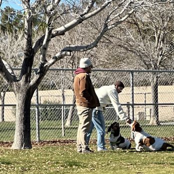 Barkin' Basin Dog Park - Dog Parks Near Me - Las Vegas, Nevada