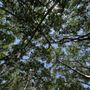 Get Up And Go Kayaking - Tampa Bay
