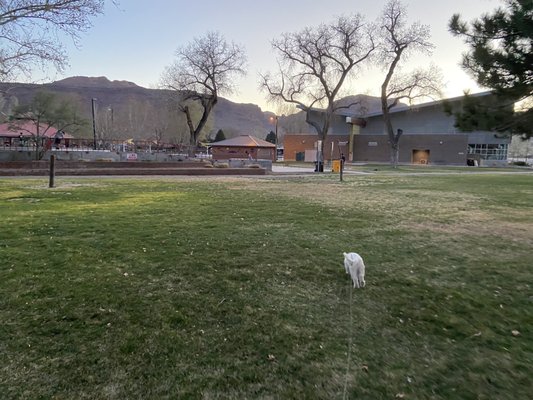 Swanny City Park by null