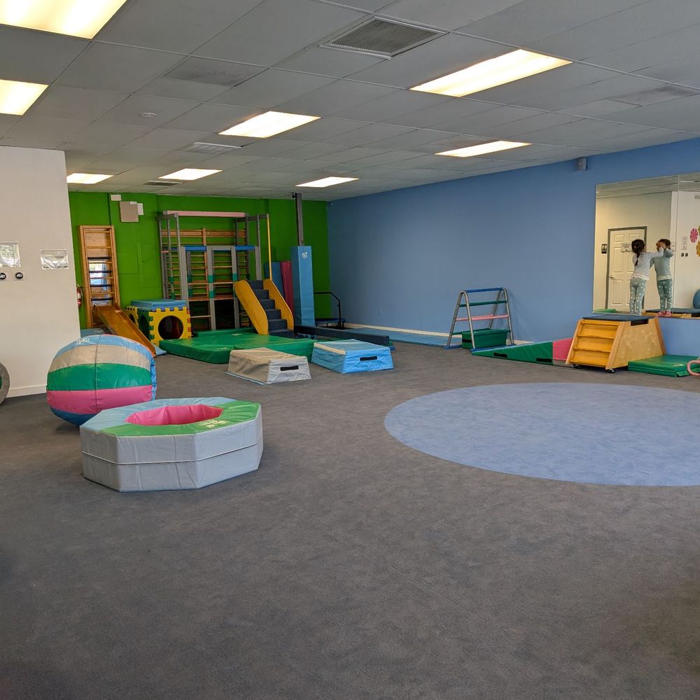 My Gym - Gyms Near Me - Lutz, Florida