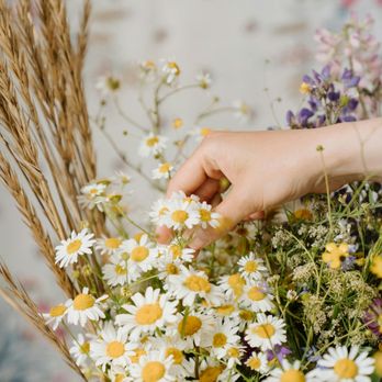 Windy Weather Florals - Florists Near Me Windy Weather Florals - Florists Near Me