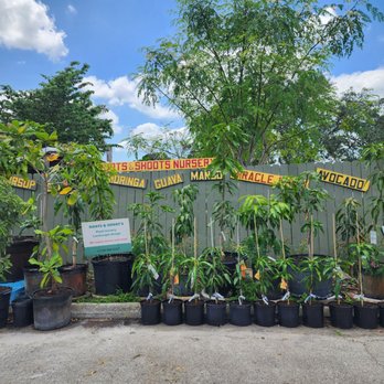 Marando Farms & Ranch - Farmers Market Near Me - Davie, Florida