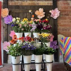 The Flower Market on 7th Street - Spring is in the air!
