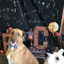 Bark At The Moon - Rhett and Boone has a great time!