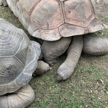 Virginia Zoo - Zoos Near Me - Norfolk, Virginia Virginia Zoo - Zoos Near Me - Norfolk, Virginia