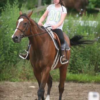 Friends Academy Summer Camps - Horseback Riding - Summer Camps Near Me - Locust Valley, New York Friends Academy Summer Camps - Horseback Riding - Summer Camps Near Me - Locust Valley, New York