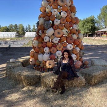 Schnepf Farms - Venues & Event Spaces Near Me - Queen Creek, Arizona