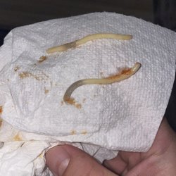 T'Dori Takeout - Blue pasta. What is this??