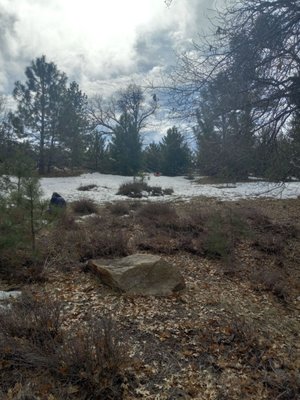 The Playground LA by null