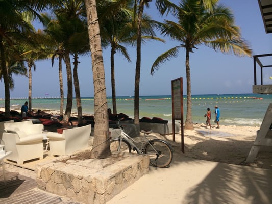 The Palm at Playa by null