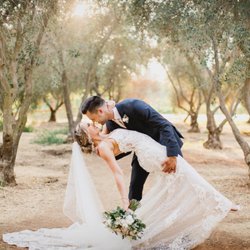 The Perfect Plan Weddings