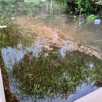FirstKey Homes - Excessive water is everywhere. Repeated calls for help have gone on answered. - Real Estate Services Near Me - Marietta, Georgia