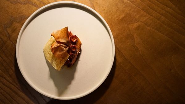 Gastro by Elemento by null