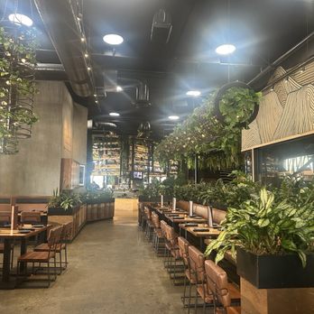 Flecha Cantina - Interior - Mexican Near Me - Huntington Beach, California