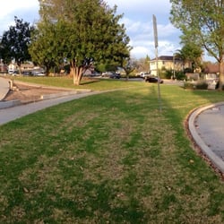 Obregon Park - Lots of long paths to walk....