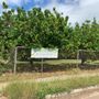 Healthy Climate Communities