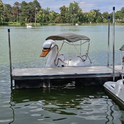 Washington Park - Swan paddle boats