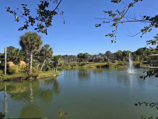 Alabama Gulf Coast Zoo by null