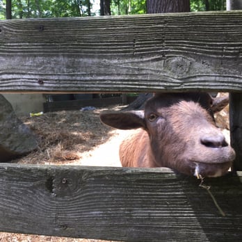 Tarbin Gardens - Nurseries & Gardening Near Me - Franklin, New Hampshire