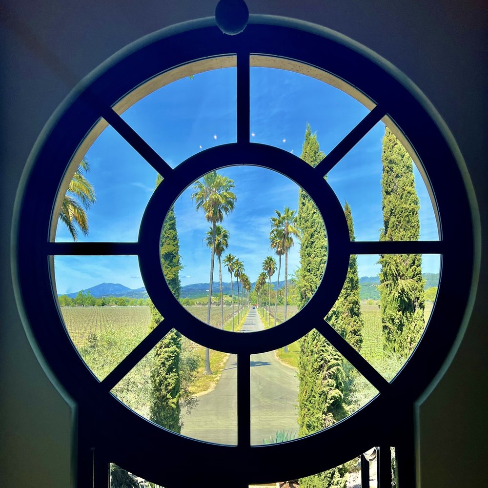 Round Pond Estate Winery - a view of the palm tree lined drive - Wineries Near Me - Rutherford, California Round Pond Estate Winery - a view of the palm tree lined drive - Wineries Near Me - Rutherford, California