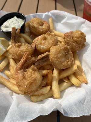 Hibiscus on the Mile by null