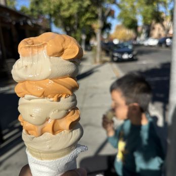 Meadowlark Dairy - Medium pumpkin spice + story coffee - Ice Cream & Frozen Yogurt Near Me - Pleasanton, California Meadowlark Dairy - Medium pumpkin spice + story coffee - Ice Cream & Frozen Yogurt Near Me - Pleasanton, California