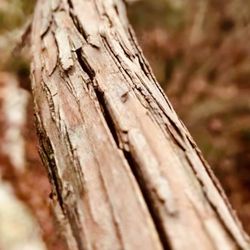 Valley Falls Park - Down branch