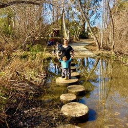 Santiago Oaks Regional Park - Walking across the creek.