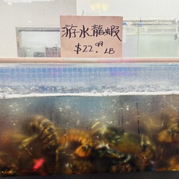 Golden Soup Restaurant - Lobster, currently 23 bucks a pound - Seafood Near Me - San Gabriel, California Golden Soup Restaurant - Lobster, currently 23 bucks a pound - Seafood Near Me - San Gabriel, California