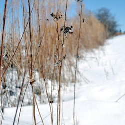Durand Eastman Park