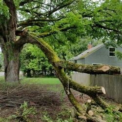 Simonson Tree Service